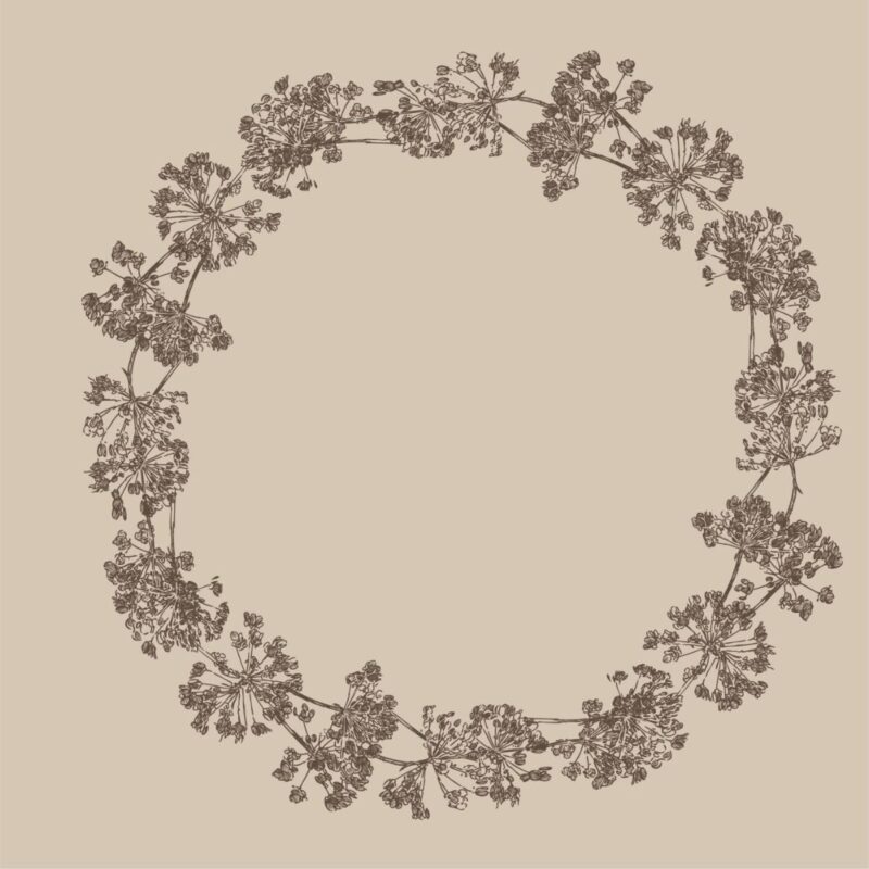 Servíettur - Umbel flowers