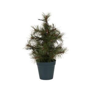 PINUS - Jólatré, h: 30cm