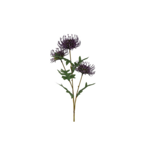 Prótea - lilla h: 71cm