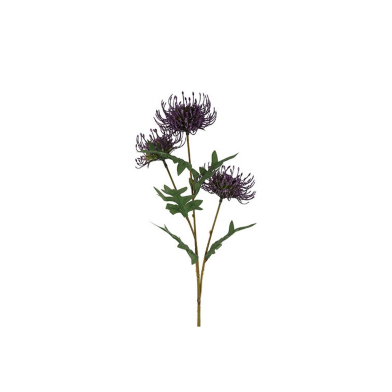 Prótea - lilla h: 71cm