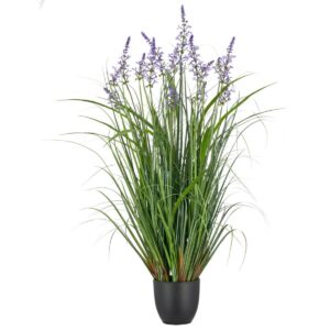 Salvia gra og lavender í potti h:107cm