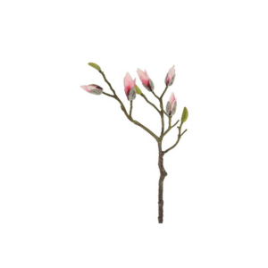 Magnolia rós h:73cm