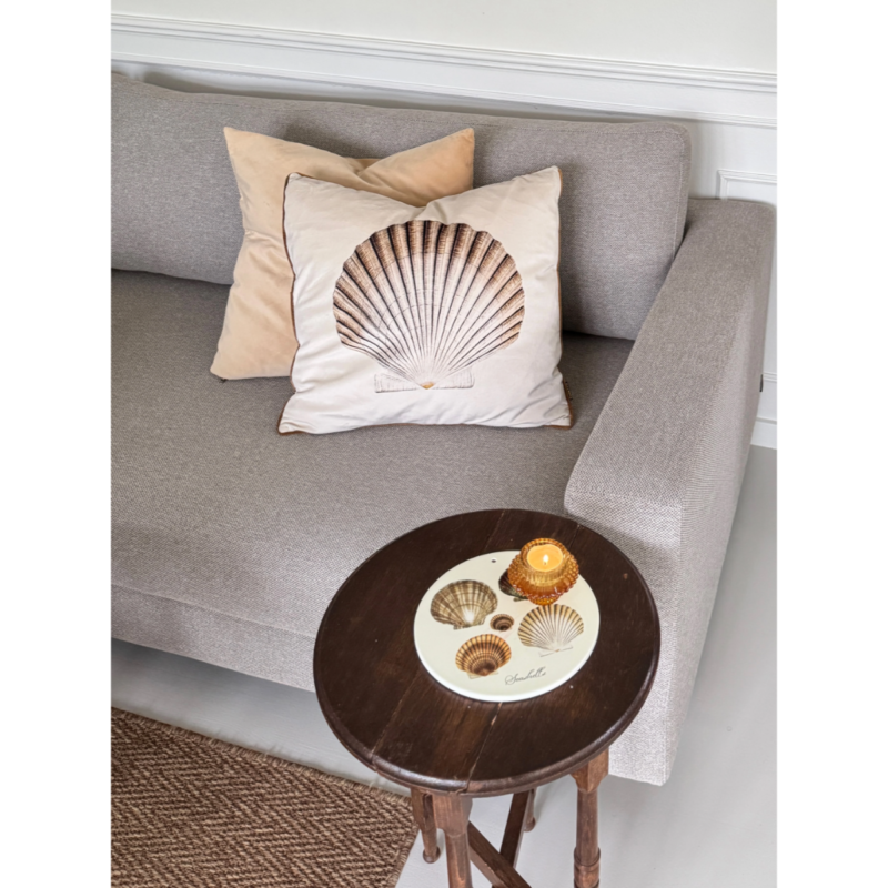 Platti - Seashells - Image 3