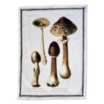 FUNGI - Viskustykki