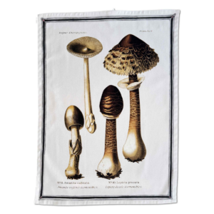 FUNGI - Viskustykki