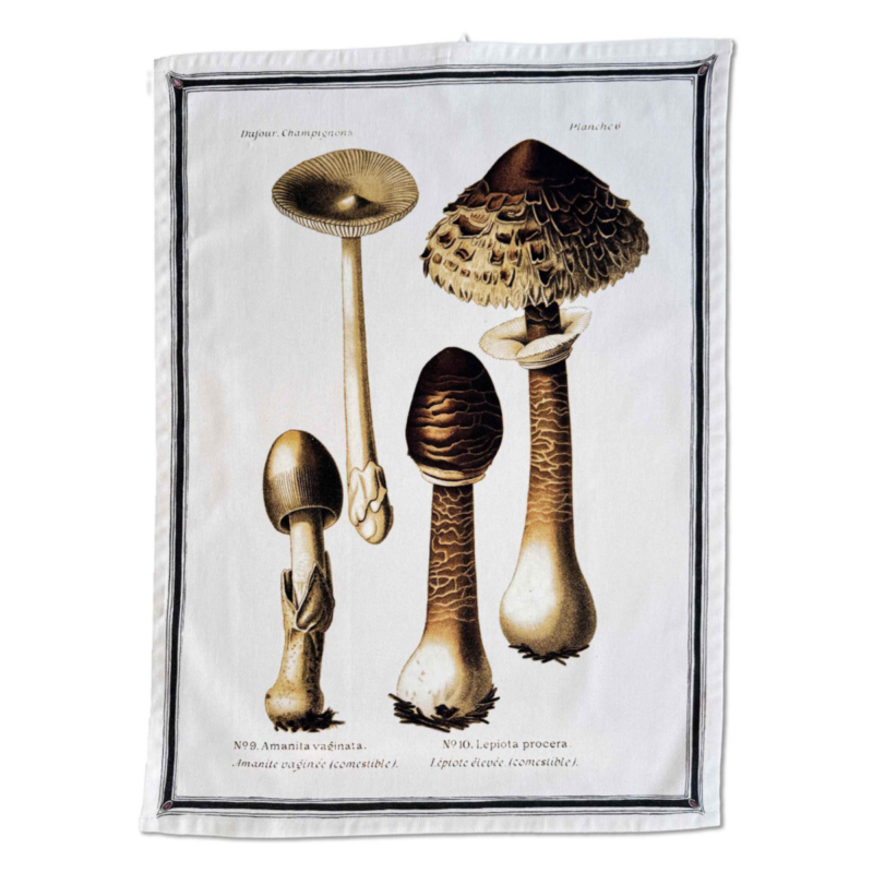 FUNGI - Viskustykki