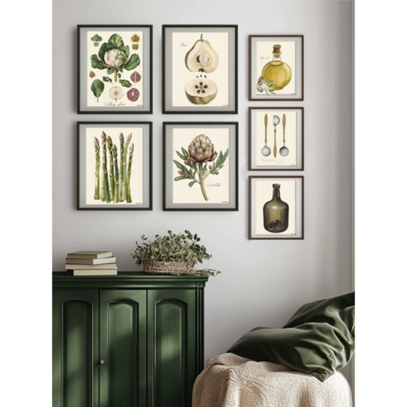 Mynd - Cabbage - Image 4
