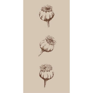 Servíettur - Poppy pods
