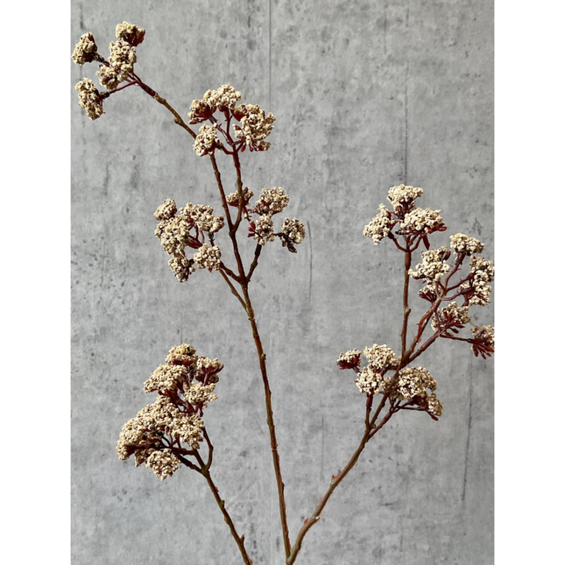 Eupatorium -beige, 81cm - Image 3