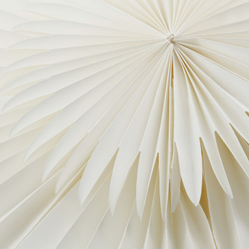 LAYER - Pappastjarna, 60cm - Image 2