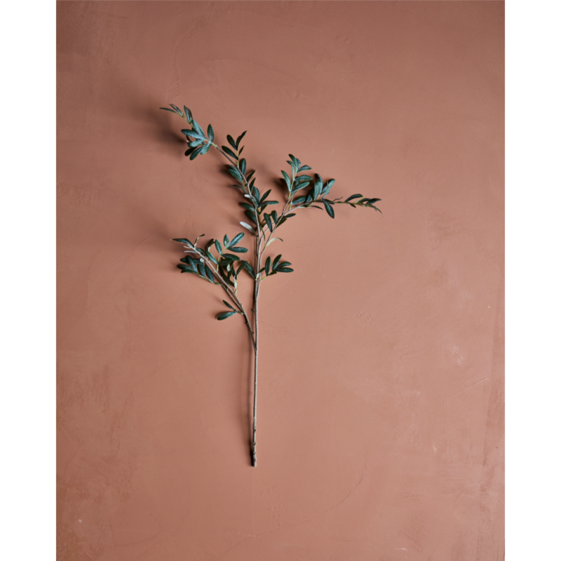 OLIVE – græn grein - Fakó