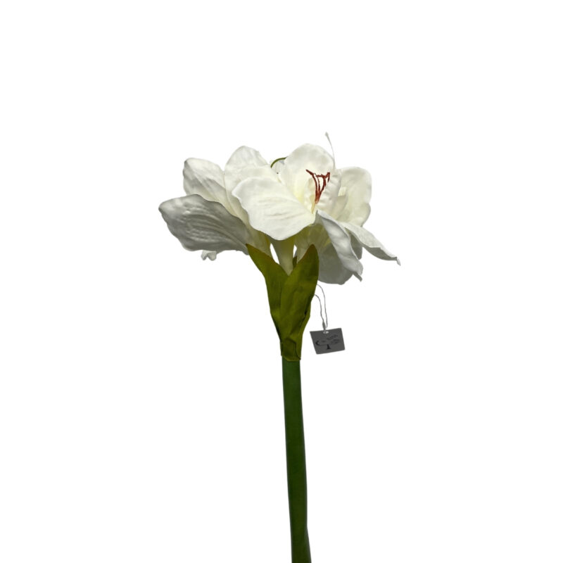 Amaryllis - hvítur h:66cm - Image 2