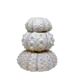 URCHIN - Kertastjaki