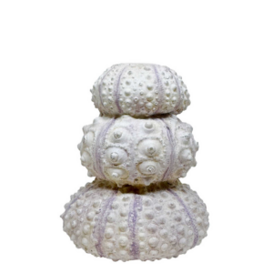 URCHIN - Kertastjaki