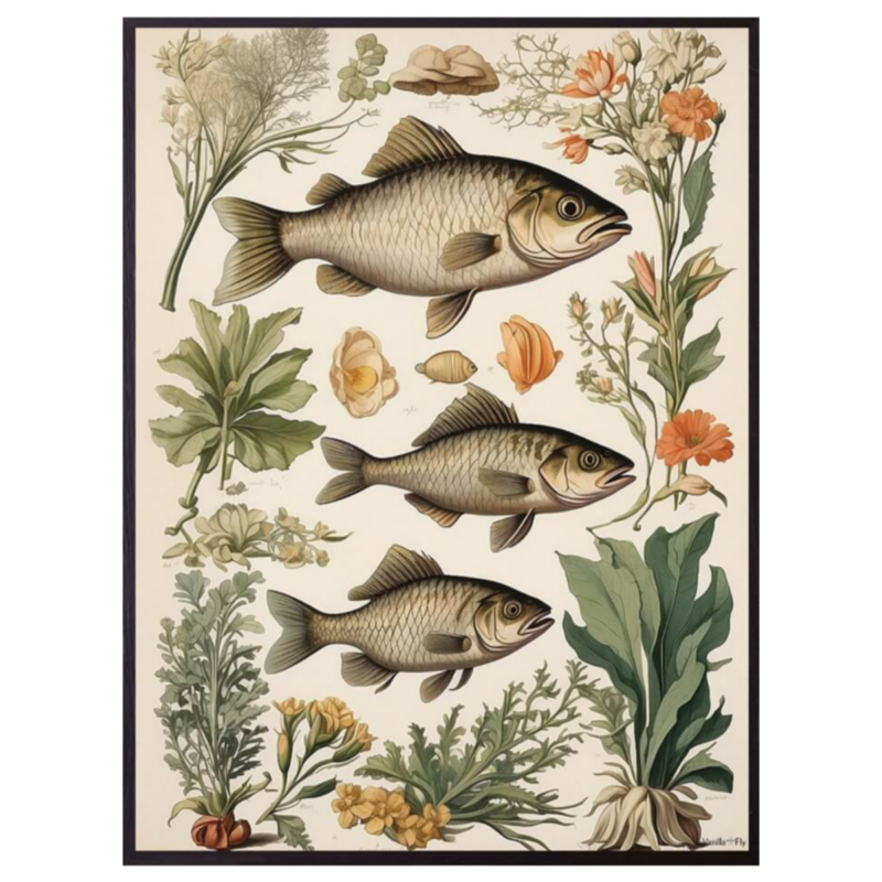 Mynd - Vivid Fish 30x40cm