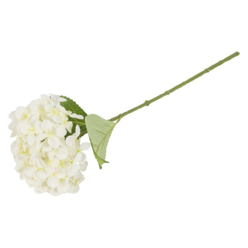 Hortensia - hvít, h: 40cm - Image 2