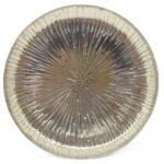 RAND - Bakki, silfur 31cm
