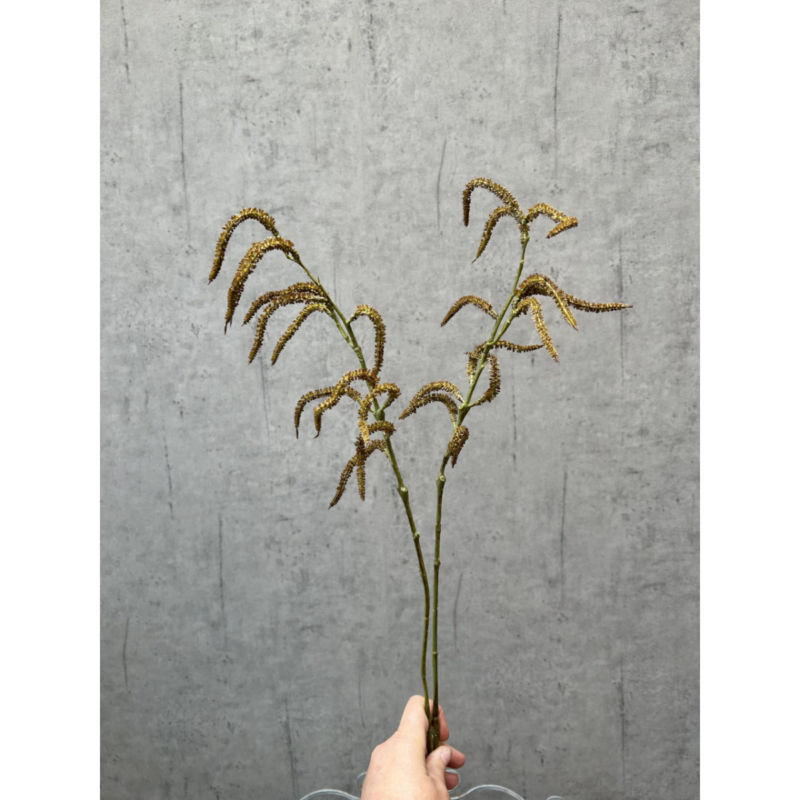 Amaranthus natur, 80cm - Image 3