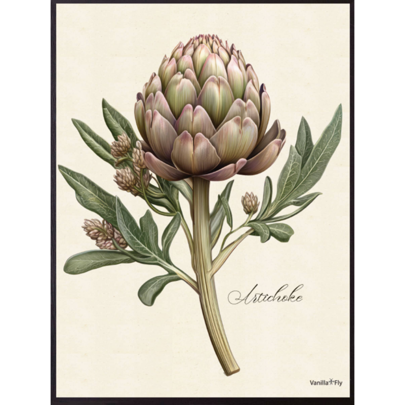 Mynd - Artichoke
