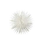 Pappastjarna Dust krem d:50cm