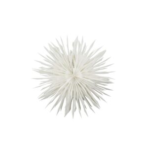 Pappastjarna Dust krem d:50cm