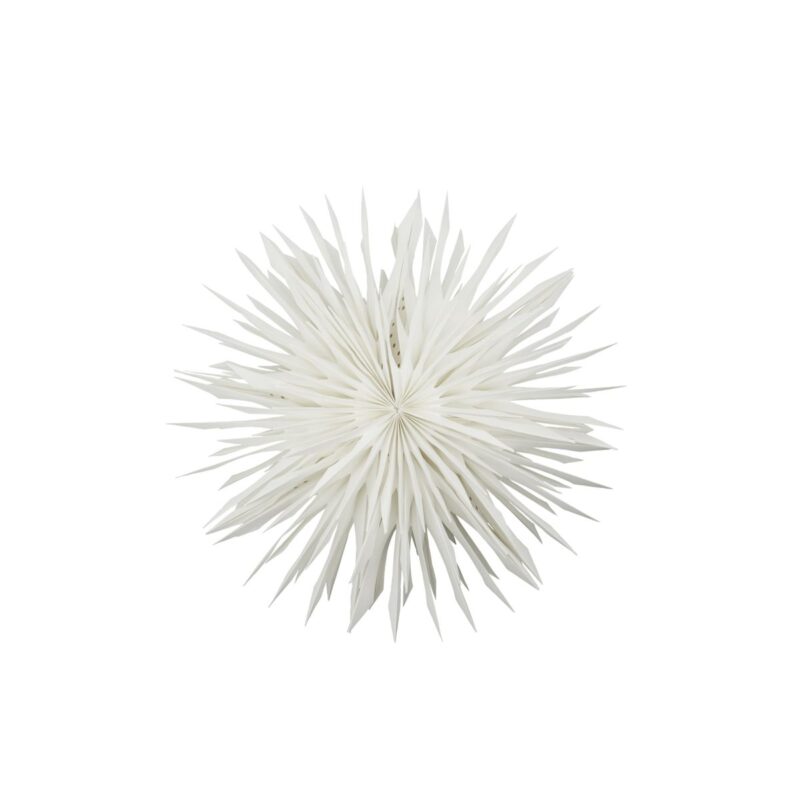 Pappastjarna Dust krem d:50cm