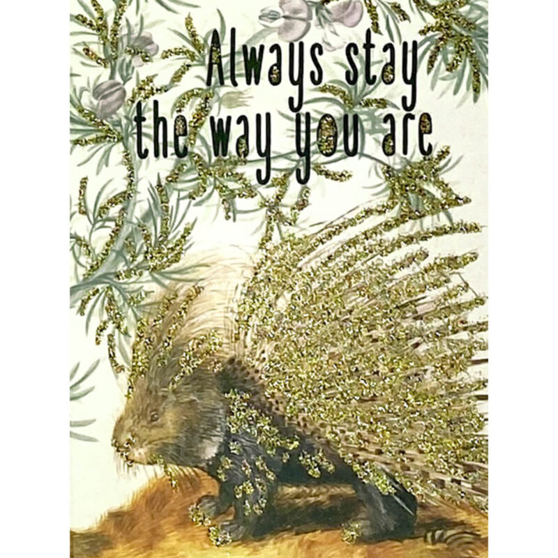 Kort - "Always stay the way you are"
