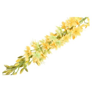 Eremurus - gult, h: 107cm