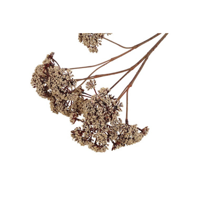Eupatorium - beige, 57cm - Image 2