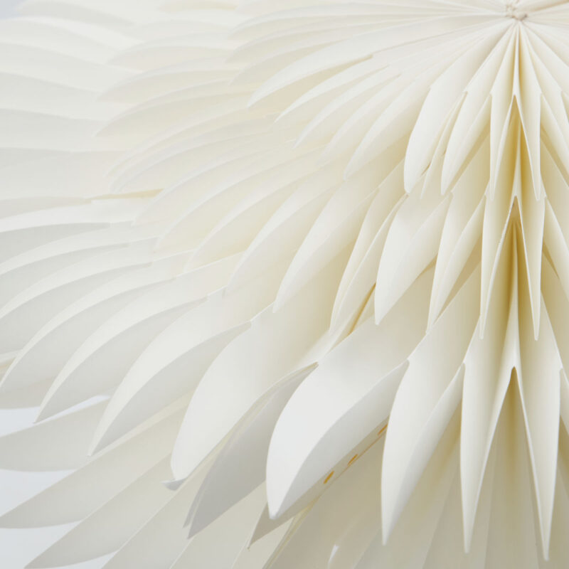 LAYER - Pappastjarna, 40cm - Image 2
