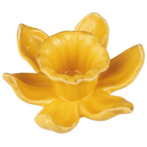 Dalfodis kertastjaki gulur