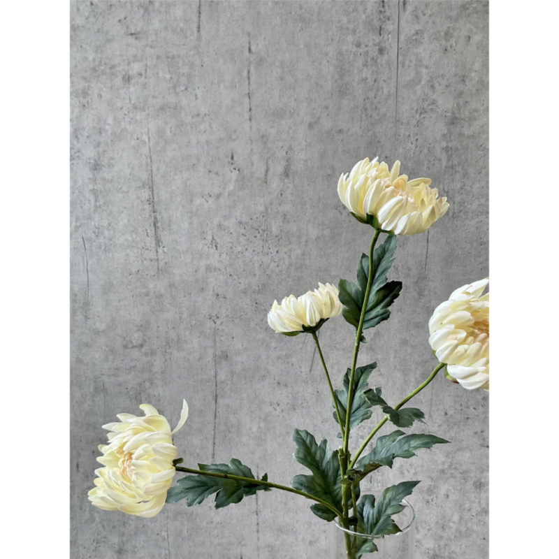 Krýsantemum - krem h: 83cm - Image 4