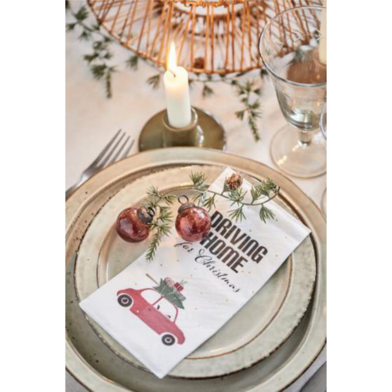 Servíettur - Driving Home For Christmas - Image 2