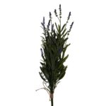 Lavender, 48cm