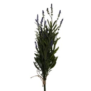 Lavender, 48cm