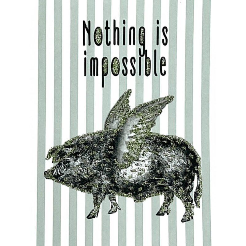 Kort - Grís m/vængi "Nothing is impossible"
