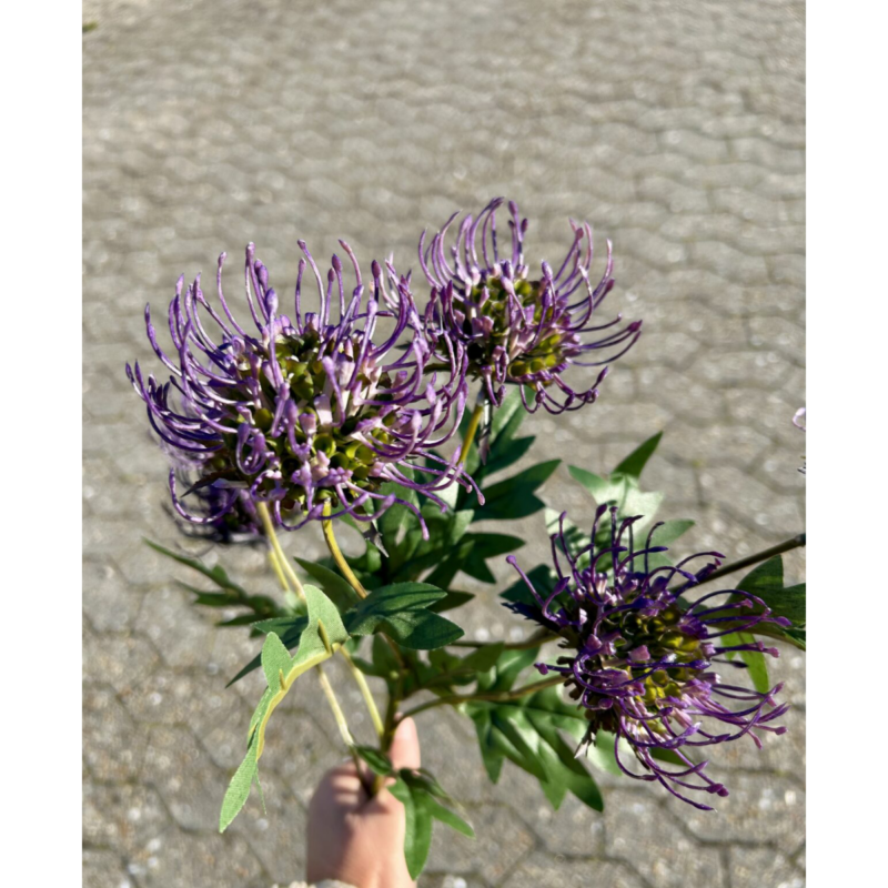 Prótea - lilla h: 71cm - Image 4
