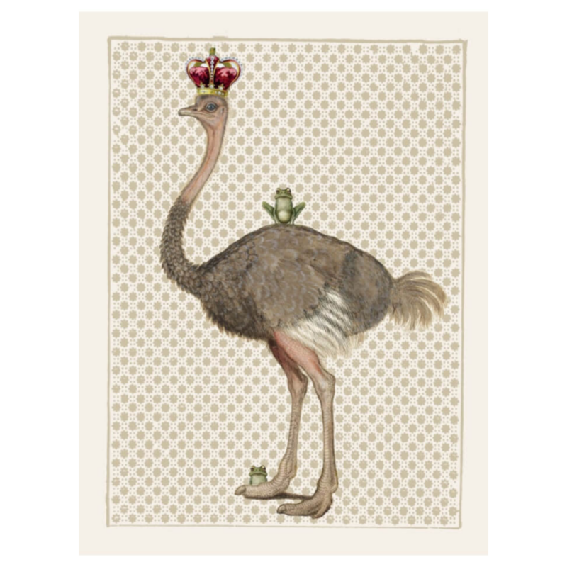 Mynd - Ostrich
